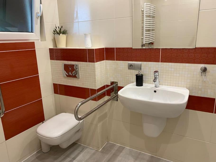 4 Bedroom Family House With Access To A Hot Tub Гочауковіце-Здруй Екстер'єр фото