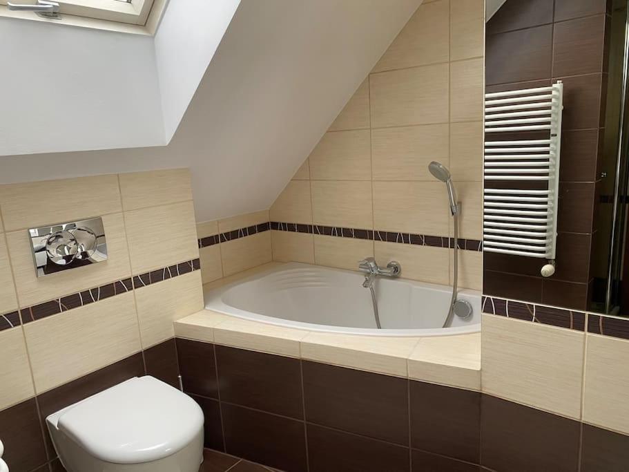 4 Bedroom Family House With Access To A Hot Tub Гочауковіце-Здруй Екстер'єр фото