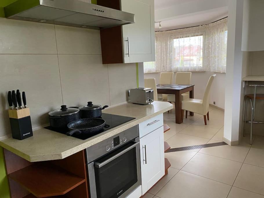 4 Bedroom Family House With Access To A Hot Tub Гочауковіце-Здруй Екстер'єр фото
